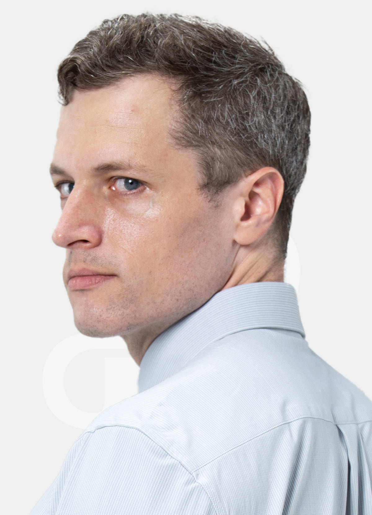 Performance Fit Label - Mulberry Silk Blended Light Greenstripe Button Down Dress Shirt ZT70-02